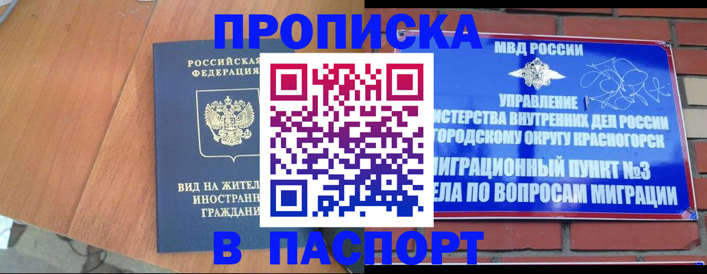 найти адрес прописки в Канаше